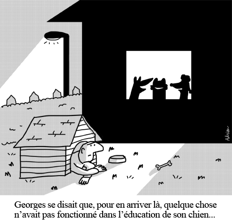 chien, éducation, maître, niche, fête, banlieue, jardin